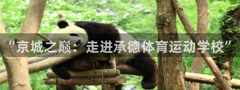 3377体育官网下载平台是正规平台吗：“京城之巅：走