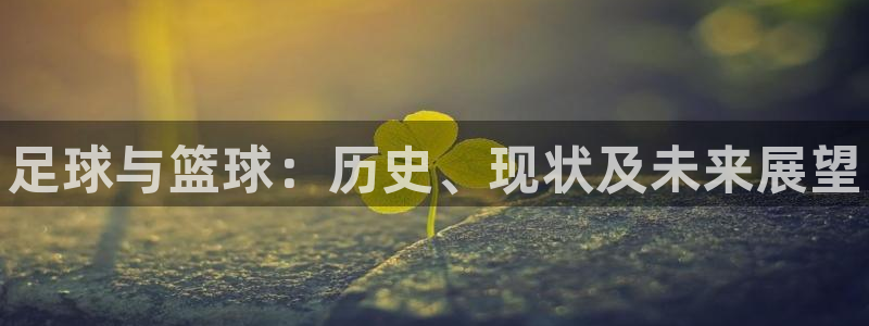 3377体育官方正版app娱乐是那个系列的台子：足球