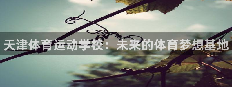 3377体育官方正版app娱乐是那个系列的台子：天津