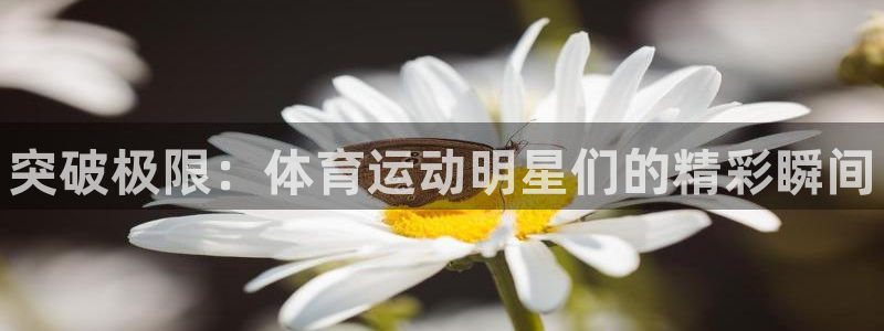 3377体育官方正版app官方：突破极限：体育运动明