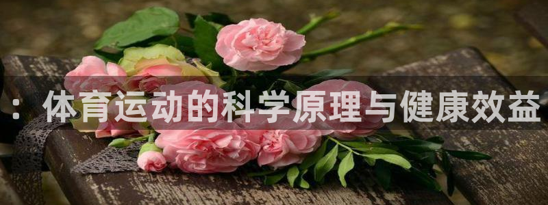 3377体育官方正版app集团：：体育运动的科学原理