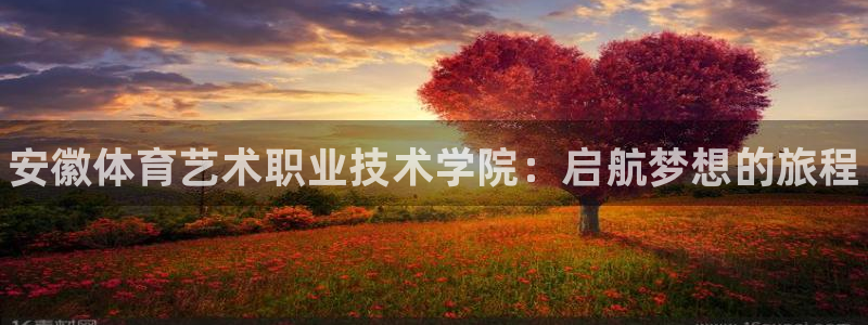 海南3377体育官网下载：安徽体育艺术职业技术学院：