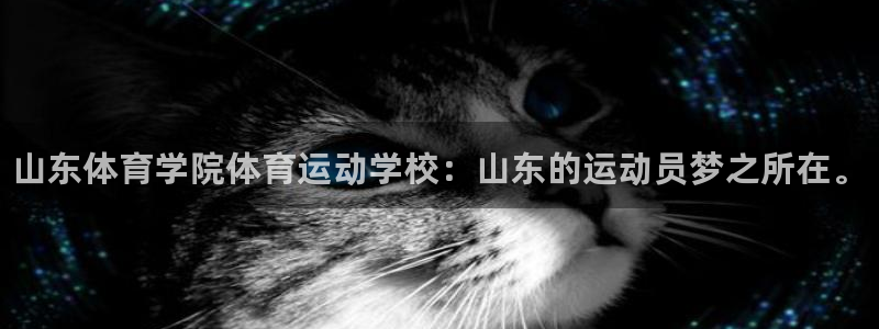 3377体育官网下载平台是正规平台吗：山东体育学院体