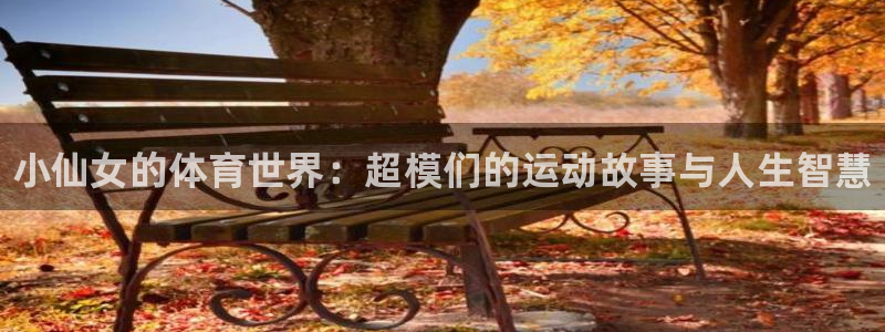 3377体育官网下载平台：小仙女的体育世界：超模们的
