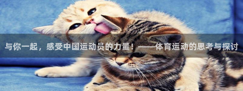 3377体育官网下载招商电话号码是多少号：与你一起，