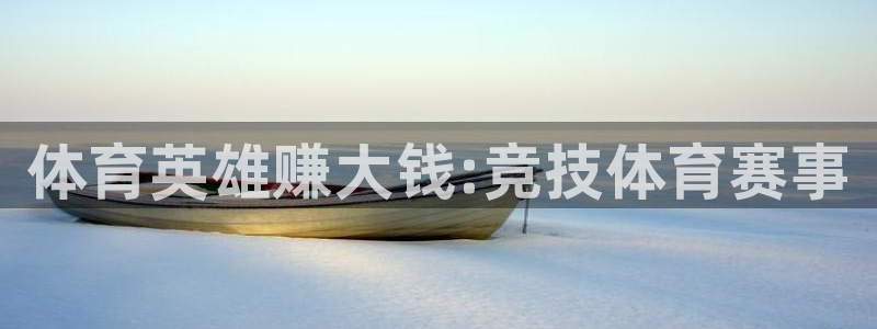 3377体育官方正版app官方：体育英雄赚大钱:竞技体育赛事