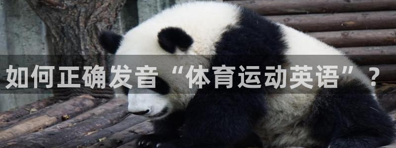 3377体育官网下载招商电话地址查询