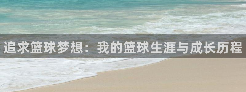 3377体育官网下载招商电话号码是多少号：追求篮球梦