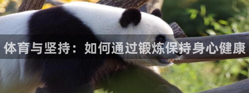 海南3377体育官网下载：体育与坚持：如何通过锻炼保持身心健