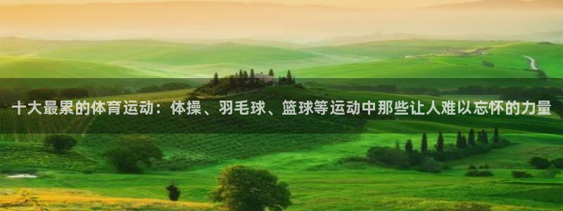 3377体育官方正版app集团简介：十大最累的体育运