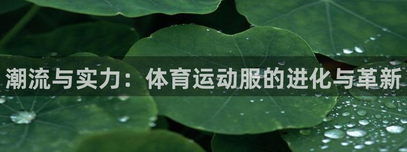 3377体育官网下载开户：潮流与实力：体育运动服的进