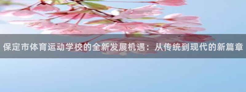 德国3377体育官方正版app集团：保定市体育运动学