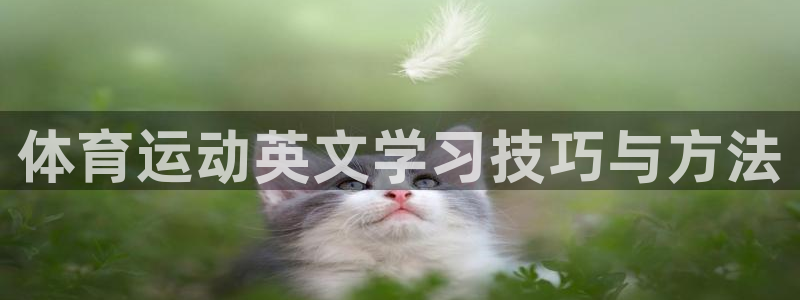 3377体育官方正版app集团logo：体育运动英文