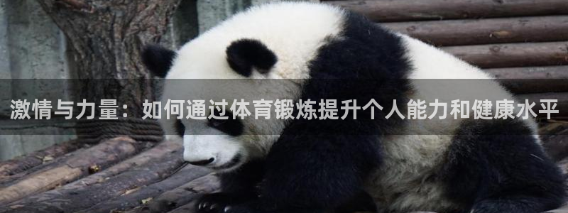 3377体育官方正版app娱乐平台：激情与力量：如何