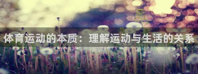 3377体育官方正版app官方：体育运动的本质：理解