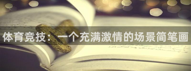 3377体育官方正版app娱乐是那个系列的台子：体育