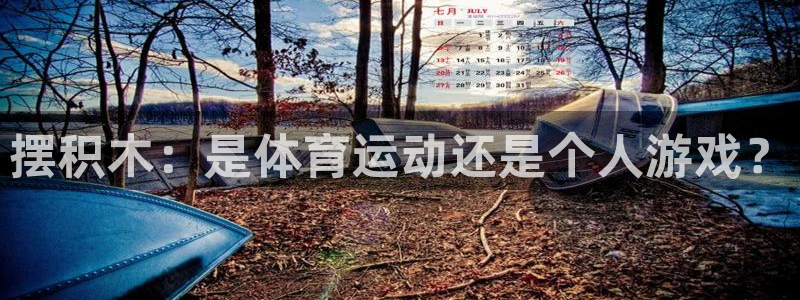 3377体育官方正版app科技：摆积木：是体育运动还是个人游