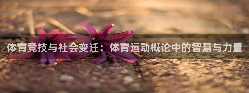 3377体育官方正版app集团E.ON：体育竞技与社