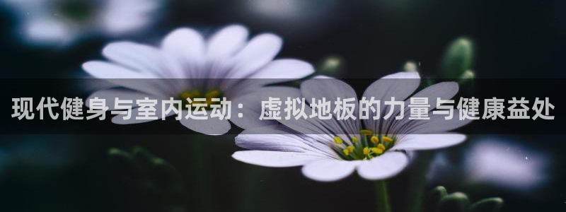 3377体育官网下载招商电话：现代健身与室内运动：虚