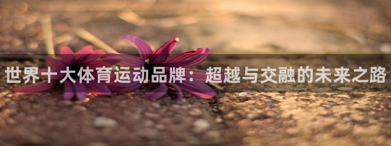 德国3377体育官方正版app集团