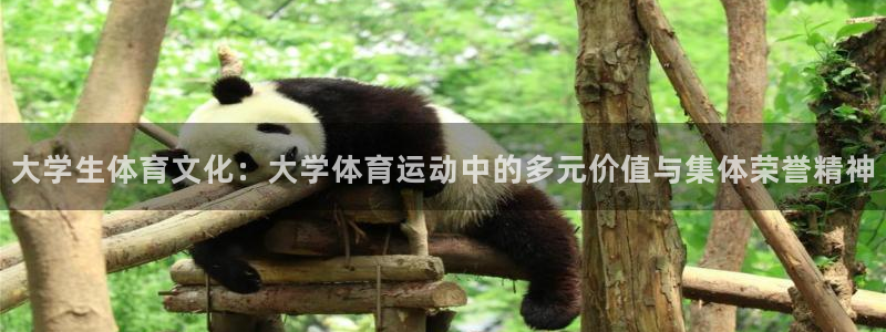 3377体育官网下载招商电话：大学生体育文化：大学体育运动中