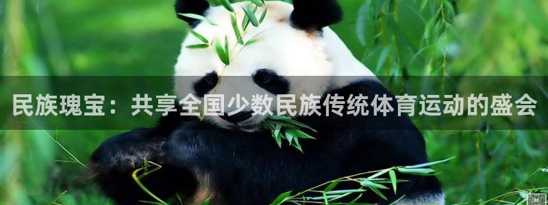 3377体育官方正版app娱乐：民族瑰宝：共享全国少数民族传