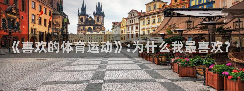 3377体育官方正版app五金厂：《喜欢的体育运动》