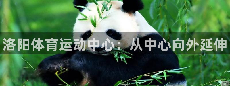 3377体育官网下载招商电话地址：洛阳体育运动中心：从中心向