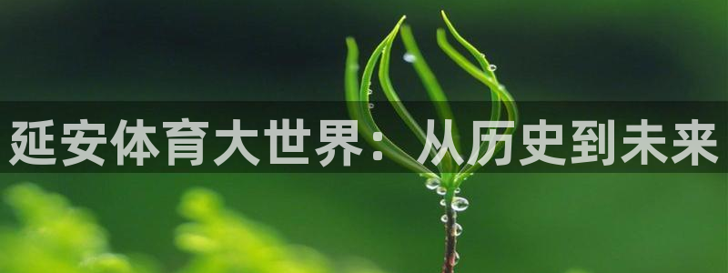 3377体育官方正版app娱乐代理怎么样