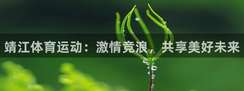 3377体育不出款：靖江体育运动：激