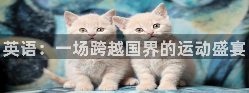 3377体育最厉害三个平台：英语：一