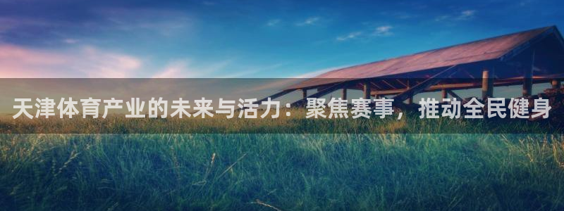  3377体育是诈骗吗：天津体育产业的未来与活力：聚焦赛事，推