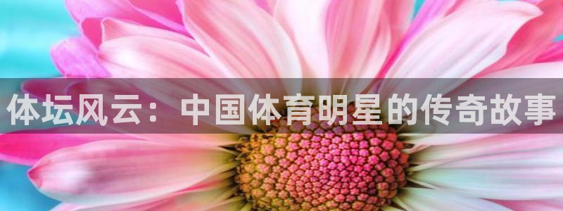  3377体育在线官网：体坛风云：中国体育明星的传奇故事