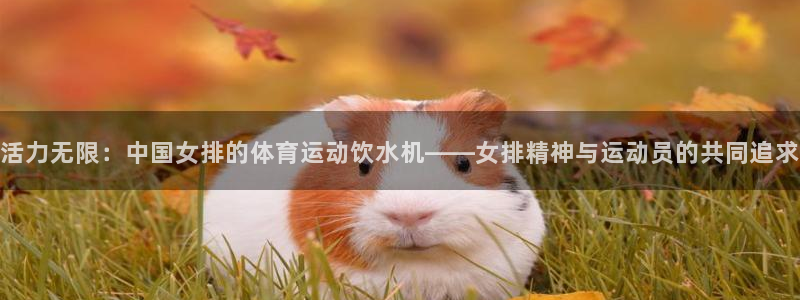 3377体育是正规平台吗还是黑金：活