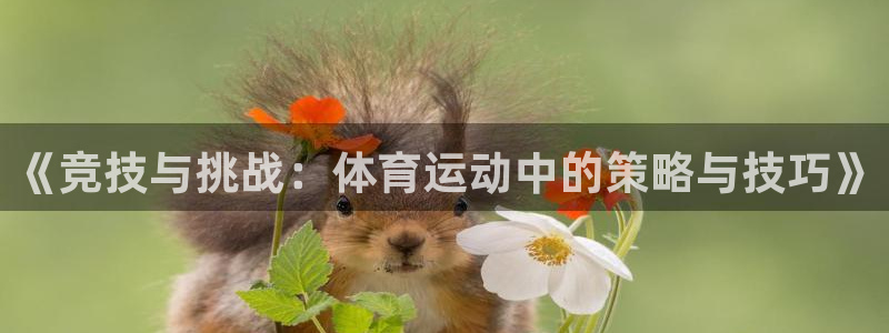 3377体育合法吗：《竞技与挑战：体育运动中的策略与技巧》