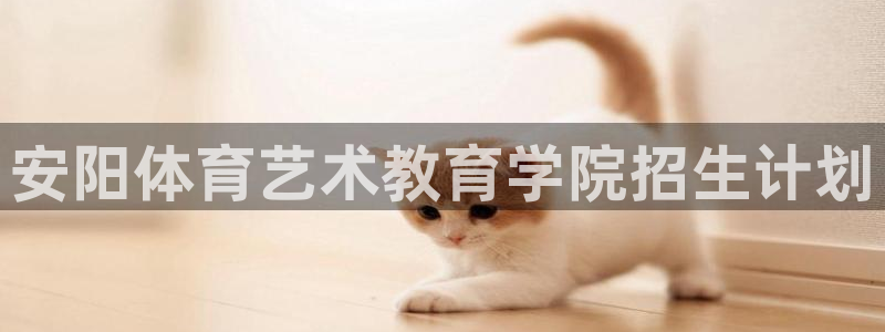 3377体育不出款：安阳体育艺术教育学院招生计划