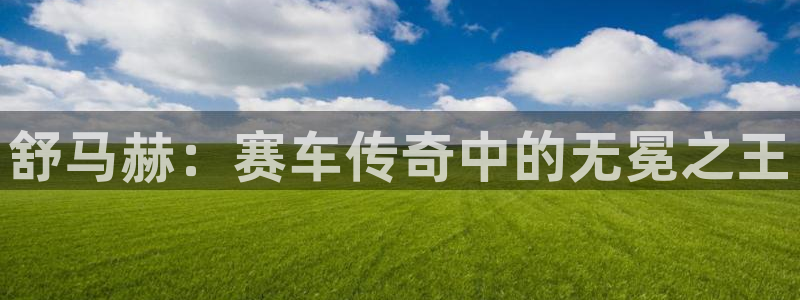  3377体育是哪的：舒马赫：赛车传奇中的无冕之王