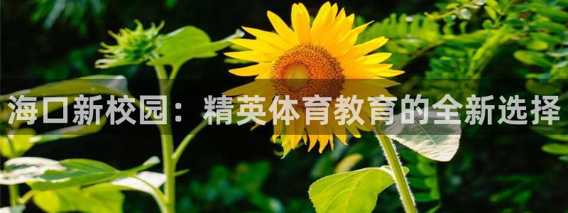  3377体育属于国家打击范围吗：海口新校园：精英体育教育的全